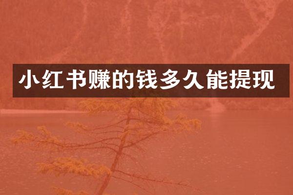 小红书赚的钱多久能提现