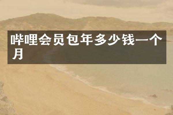 哔哩会员包年多少钱一个月