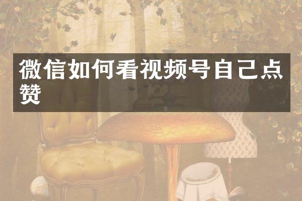 微信如何看视频号自己点赞