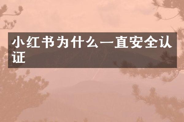 小红书为什么一直安全认证