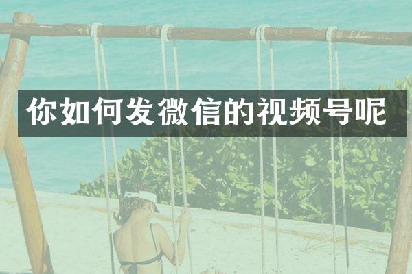 你如何发微信的视频号呢
