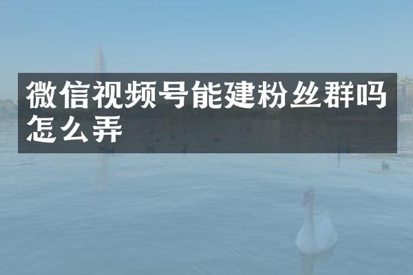 微信视频号能建粉丝群吗怎么弄