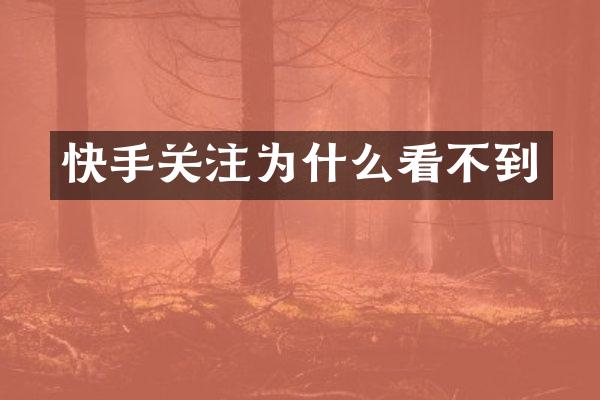 快手关注为什么看不到