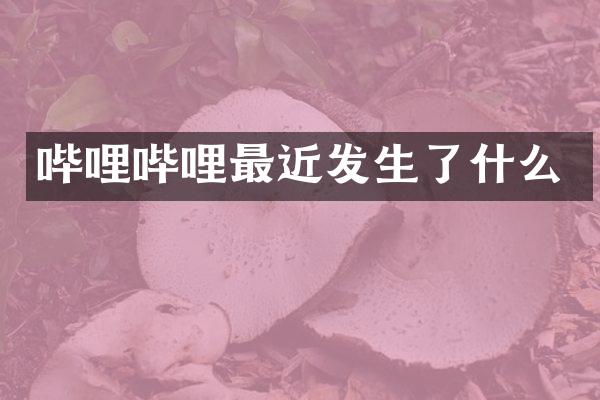 哔哩哔哩最近发生了什么