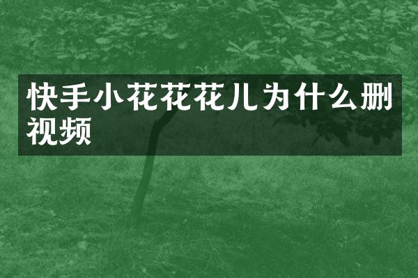 快手小花花花儿为什么删视频