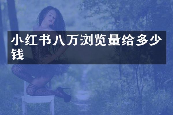 小红书八万浏览量给多少钱