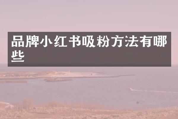 品牌小红书吸粉方法有哪些