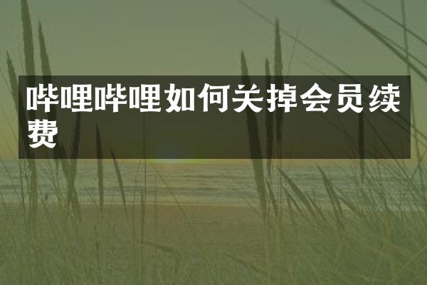 哔哩哔哩如何关掉会员续费