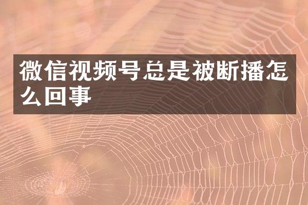 微信视频号总是被断播怎么回事