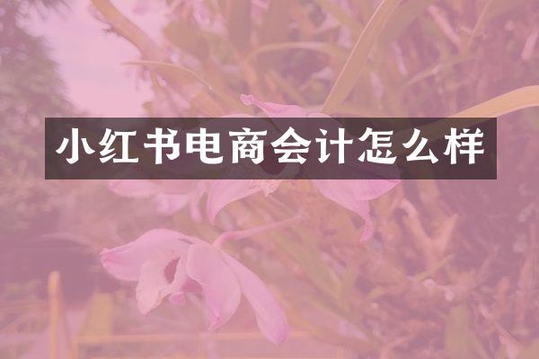 小红书电商会计怎么样