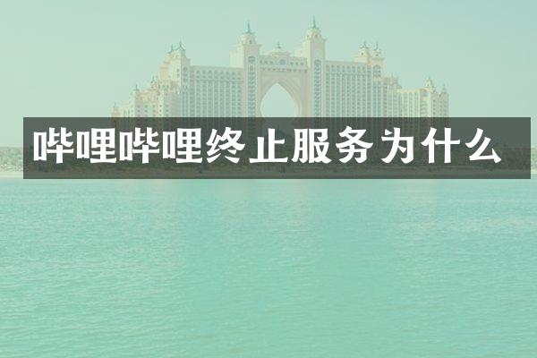 哔哩哔哩终止服务为什么