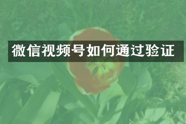 微信视频号如何通过验证