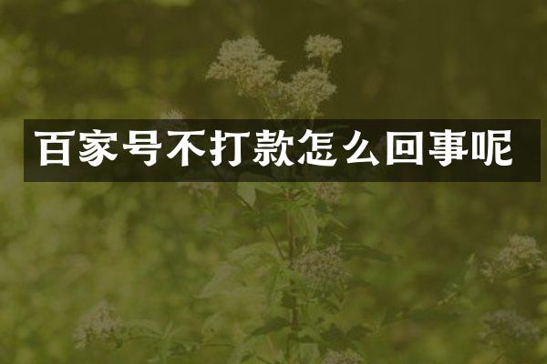 百家号不打款怎么回事呢