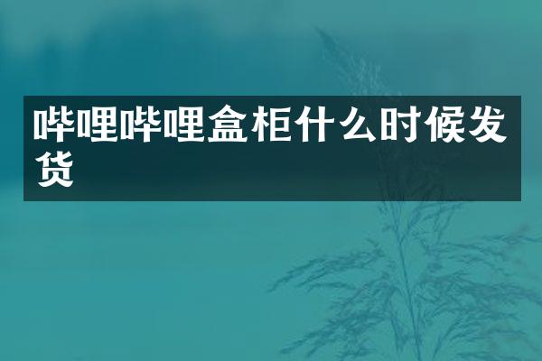 哔哩哔哩盒柜什么时候发货