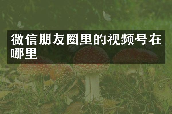 微信朋友圈里的视频号在哪里
