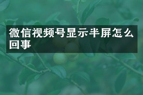 微信视频号显示半屏怎么回事