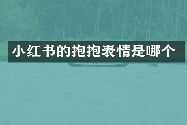 小红书的抱抱表情是哪个