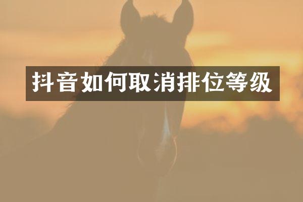 抖音如何取消排位等级