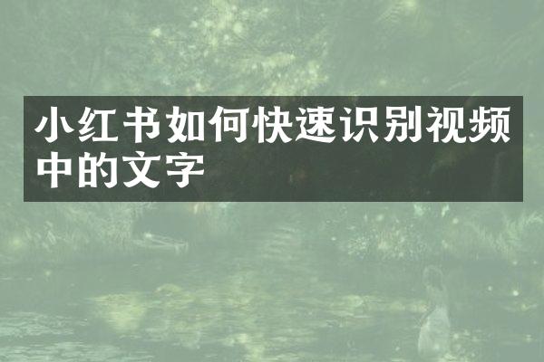 小红书如何快速识别视频中的文字