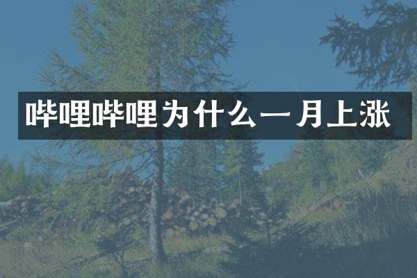 哔哩哔哩为什么一月上涨