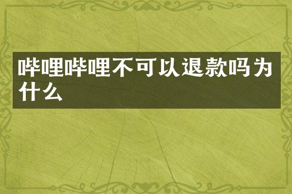 哔哩哔哩不可以退款吗为什么
