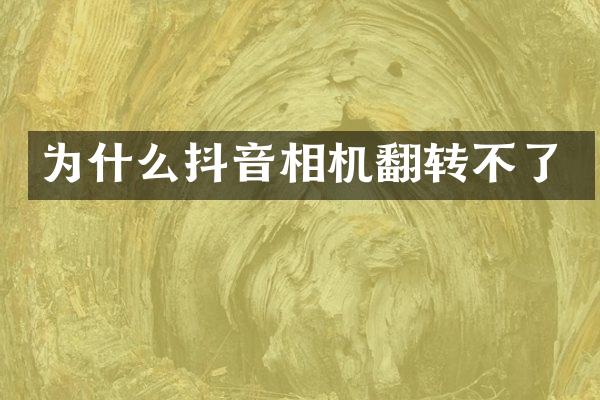 为什么抖音相机翻转不了