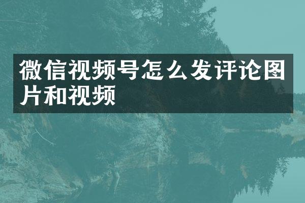 微信视频号怎么发评论图片和视频
