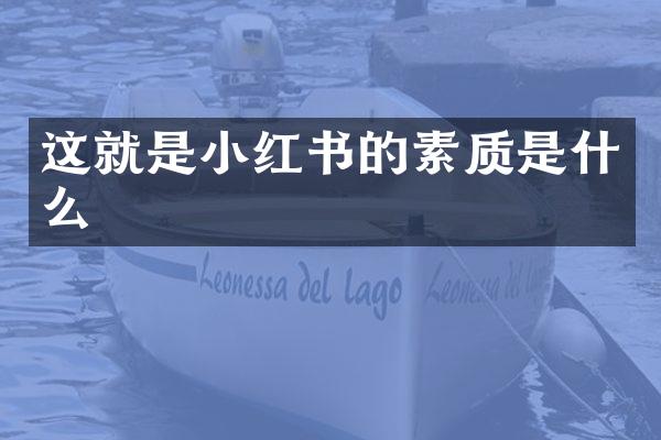 这就是小红书的素质是什么