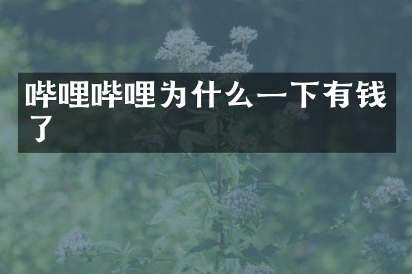 哔哩哔哩为什么一下有钱了