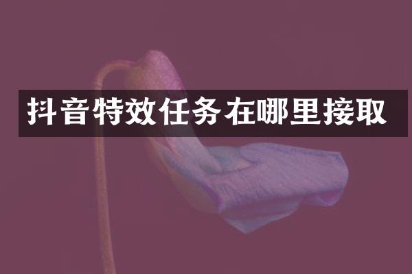 抖音特效任务在哪里接取