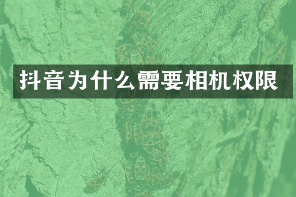 抖音为什么需要相机权限