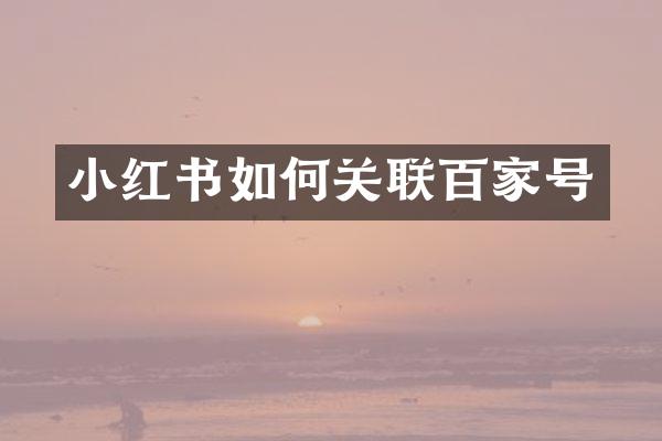 小红书如何关联百家号