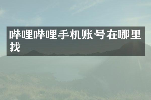 哔哩哔哩手机账号在哪里找