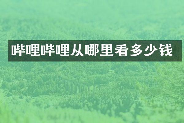 哔哩哔哩从哪里看多少钱