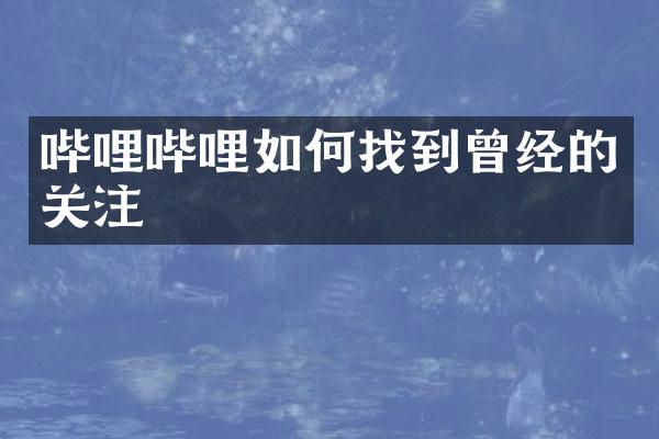 哔哩哔哩如何找到曾经的关注