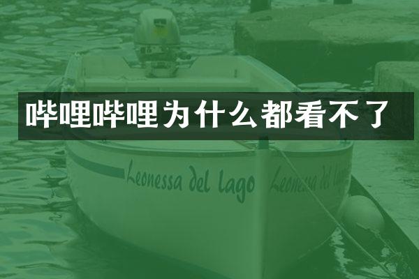 哔哩哔哩为什么都看不了