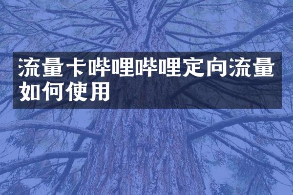 流量卡哔哩哔哩定向流量如何使用