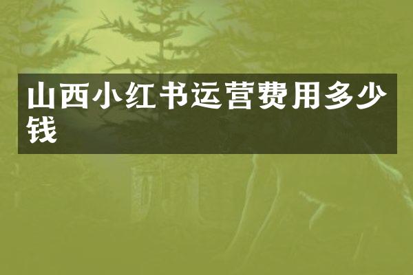 山西小红书运营费用多少钱
