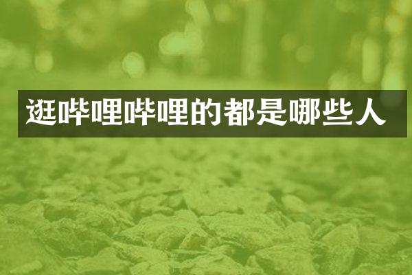 逛哔哩哔哩的都是哪些人