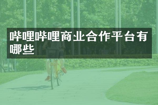哔哩哔哩商业合作平台有哪些