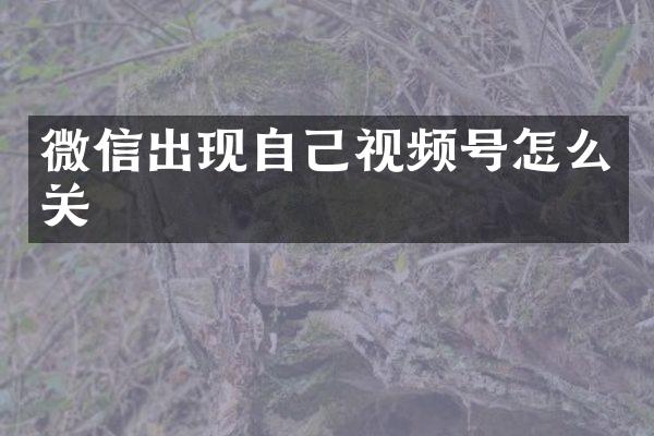 微信出现自己视频号怎么关