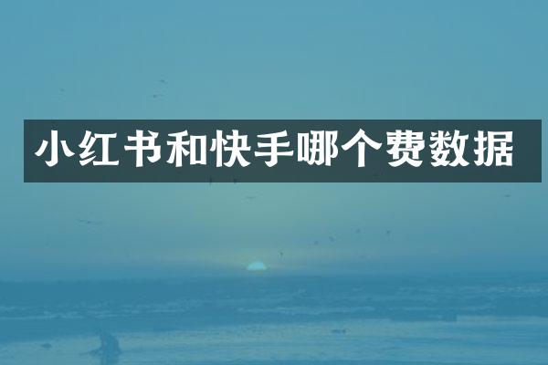 小红书和快手哪个费数据