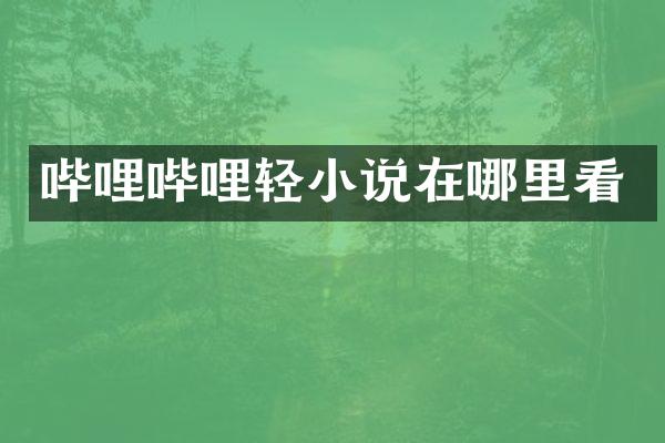 哔哩哔哩轻小说在哪里看