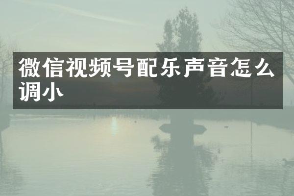 微信视频号配乐声音怎么调小