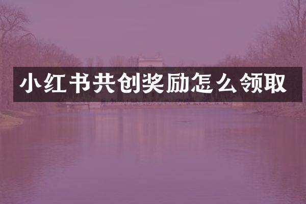 小红书共创奖励怎么领取