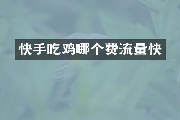 快手吃鸡哪个费流量快