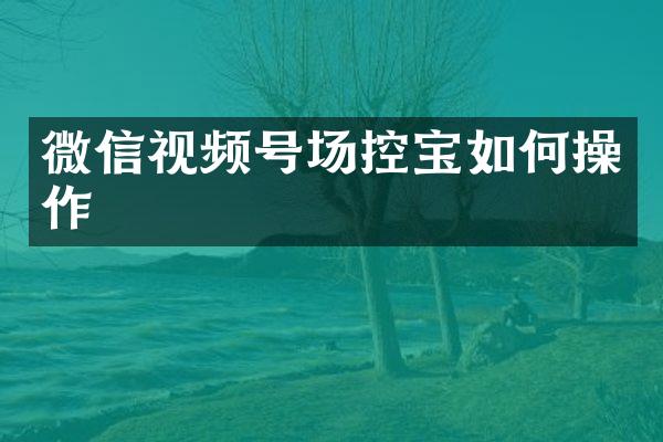 微信视频号场控宝如作