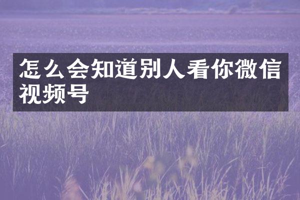 怎么会知道别人看你微信视频号