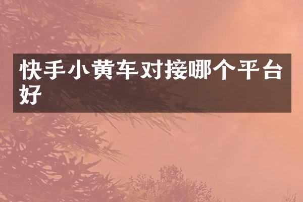快手小黄车对接哪个平台好