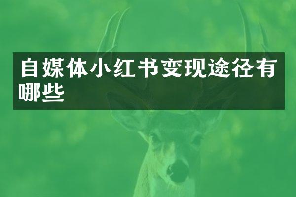 自媒体小红书变现途径有哪些